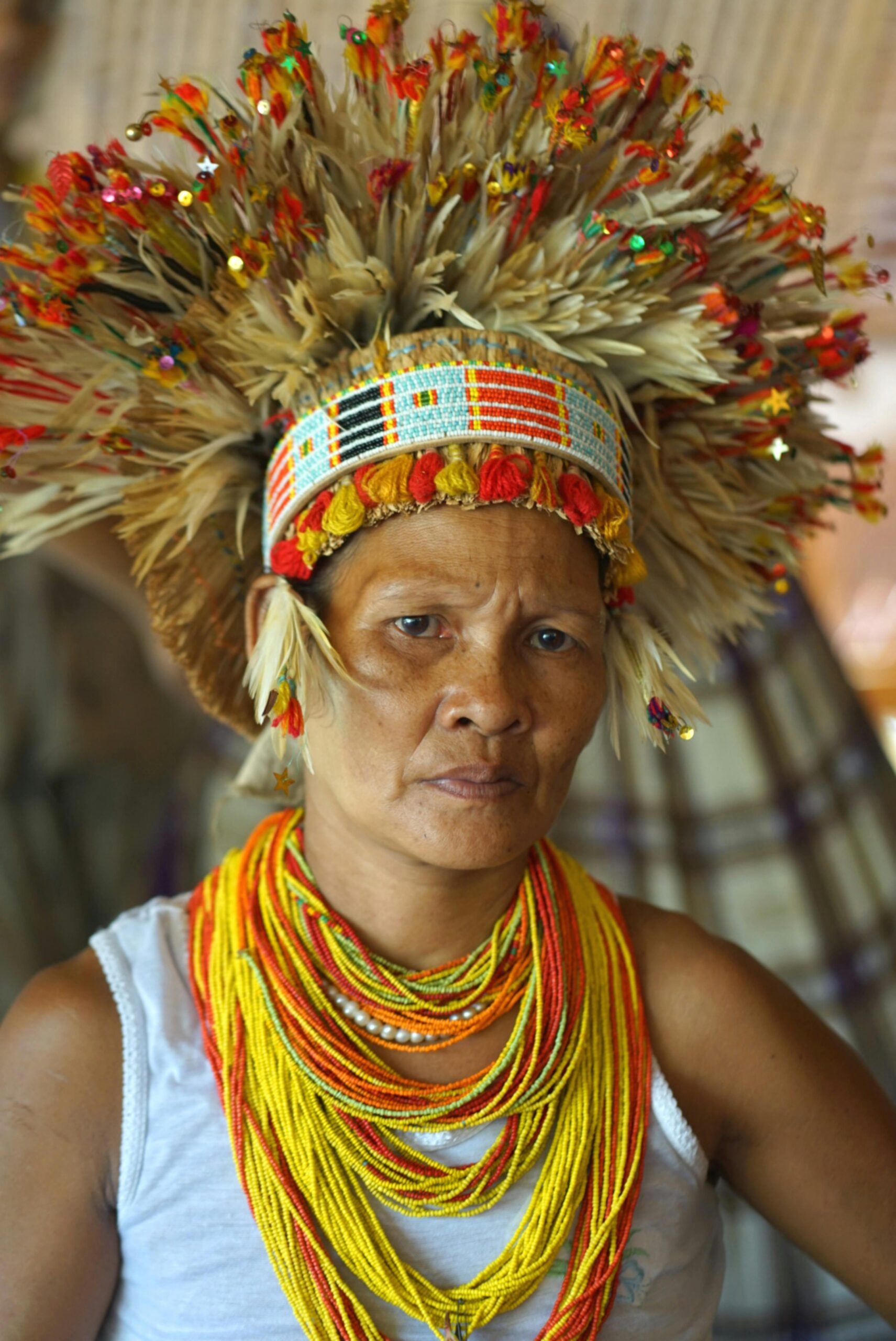 Social and cultural anthropology